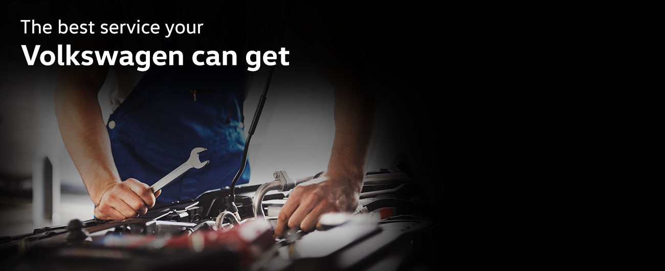 The best service your